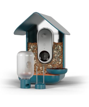 Bird Buddy Original 3-in-1 Feeding Set | Water Fountain Fruit Skewer & Jelly Tray - Blue Color | International Shipping - Buy Online on SooperMarket.com