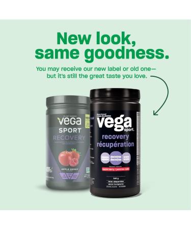 Vega Sport Post-Workout Recovery Accelerator Apple Berry (20 Servings) Vegan Non Dairy Gluten Free BCAAs 540g (Packaging May Vary) Apple Berry 20 Servings (Pack of 1) - Buy Online on SooperMarket.com