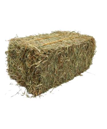 Meadow Hay Bale for Rabbits and Guinea Pigs Fresh Fragrant Green Soft Feeding Grass Dust Free High Fibre