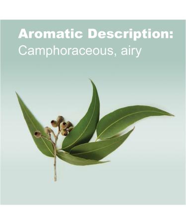 doTERRA Eucalyptus Radiata Essential Oil - 15 mL | Pure & Natural Aromatherapy - Buy Online on SooperMarket.com