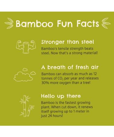 Munchkin Bamboo Open Cup 5oz - BPA Free Toddler Drinking Cup | Mint 360 Design | Weaning Cup for Babies 6 Months - Buy Online on SooperMarket.com