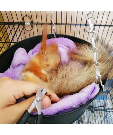 Professional Rabbit Nail Clippers: Stainless Steel Claw Trimmer for Small Animals - Guinea Pig, Ferret, Hamsters, Chinchilla, Sugar Glider - Grooming Supplies - Black - Buy Online on SooperMarket.com
