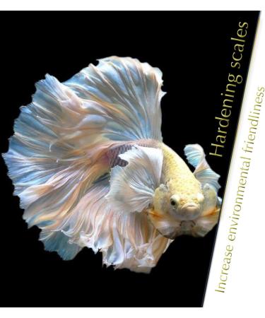 BettaLeaf Comfort Zone for Fish Indian Almond Leaves Slice in Pieces Leaf Ready to use 45 Grams Pack (80 100 Pieces) | Best Gold Brown Quality | Fish Tank for Betta Fish Shrimp Crayfish for Healthy - Buy Online on SooperMarket.com