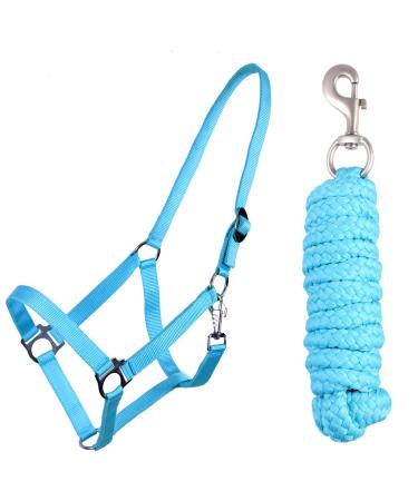 QHP Halter Set Beginner Halter + Lead Rope Heavy Snap Hook (Shetty Sky) Shetty Sky