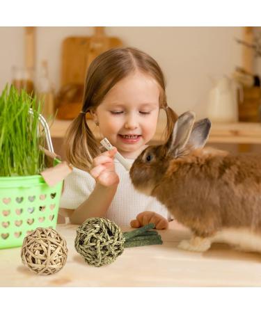 Natural Timothy Hay Sticks for Small Pets - Handmade Rabbit & Guinea Pig Toys - Buy Online on SooperMarket.com
