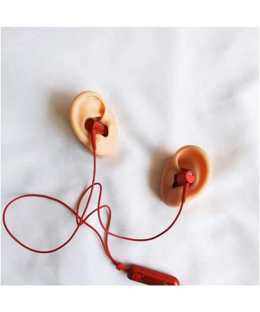 Model Medical Teaching Model Soft Silicone Tube Model for Teaching - Silicone Tube Model for Acupuncture - Simulation for Earpicking Practice Stud Earrings - Buy Online on SooperMarket.com