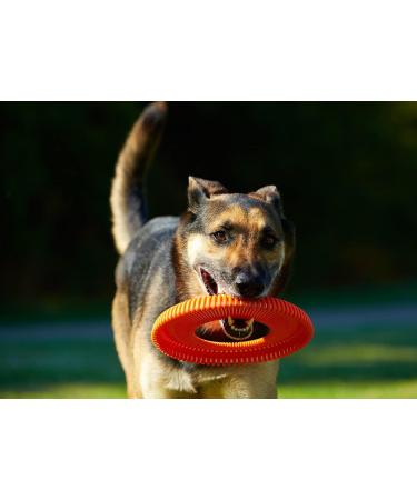 Chuckit! Rugged Flyer Dog Toy - Durable Frisbee for Throw, Fetch, and Tug of War - Buy Online on SooperMarket.com
