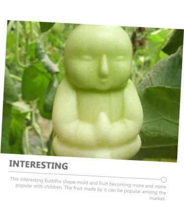 BRIGHTFUFU Plastic Fruit 2pcs Watermelon Tool Duddha Melon Tiny Growth Mold Tools Mould Buddha Adorable Shaping Transparent - Buy Online on SooperMarket.com