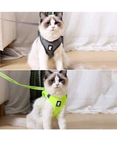 Buy Cat Dishes & Harness Set | Outdoor Leash & Bowls for Cats & Dogs - International Shipping - Buy Online on SooperMarket.com
