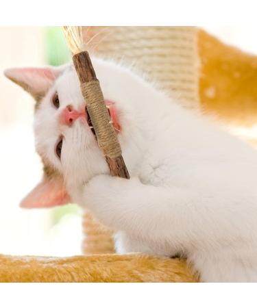 Olyee Silvervine Chew Sticks: Natural Kitten Teething Toys for Cat Dental Care and Stress Relief - Buy Online on SooperMarket.com