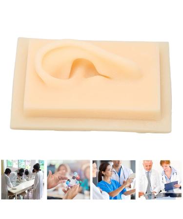 Silicone Ear Model Vivid Shape Durable Wearable Comfortable Soft Human Ear Model Glossy Texture Safe Practical for Teaching Demonstration(Left) - Buy Online on SooperMarket.com
