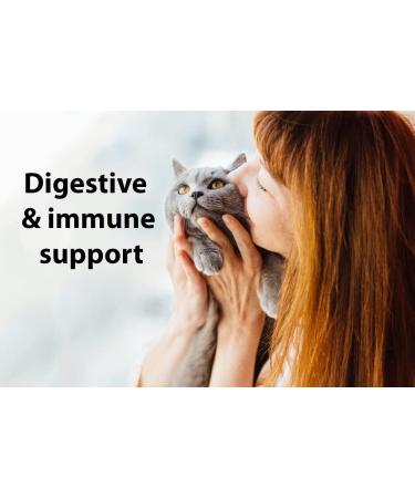 DrFormulas Nexabiotic Probiotics for Cats Powder - Saccharomyces Boulardii & Lactobacillus Acidophilus | Digestive Health Supplement for Pets - 30 Capsules - Buy Online on SooperMarket.com