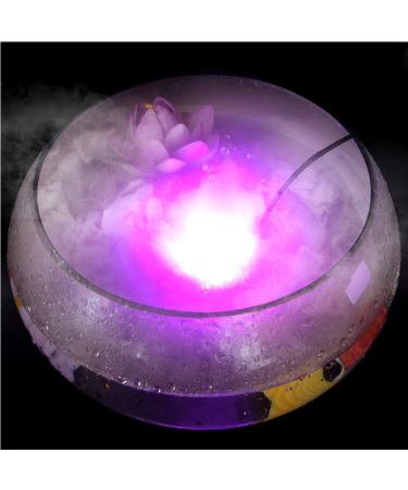 PAIDUOJI Color Changing LED Lights for Water Features - Fountain Pond & Fogger Humidifier with Adapter (White) - Buy Online on SooperMarket.com