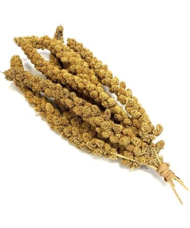 Millet Sprays x 200g (approx 5-8 sprays) Premium Cage Bird Food Seed SMD