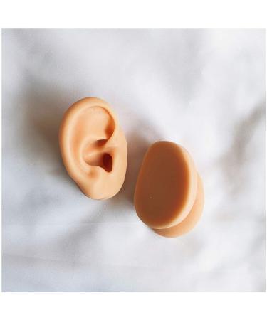 Simulation Ear Template - Flexible Silicone Silicone Ear Model for Acupuncture Picking Ear Picking Soft Props Earrings Right - Buy Online on SooperMarket.com
