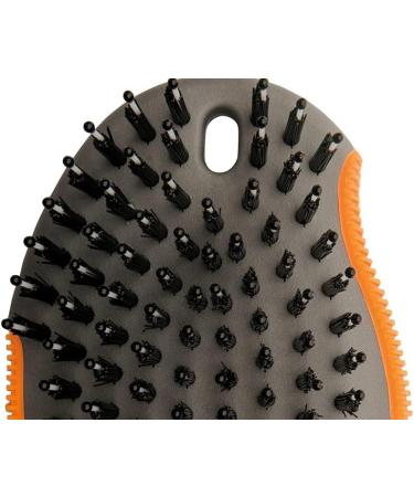 Wahl Canada Palm Pal Dog Grooming Brush Smoothing Dog Brush Dog and Puppy Brush Handheld Dog Brush Charcoal infused bristles - Model 58458 - Buy Online on SooperMarket.com