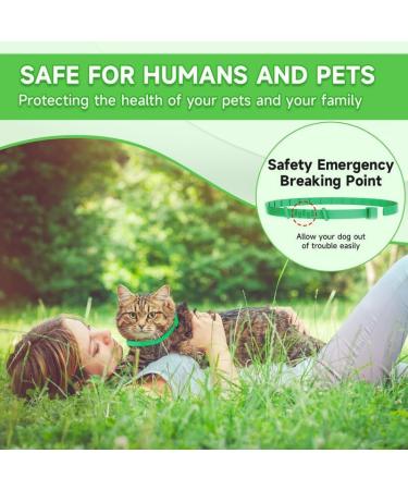 Cat Repellent Treatment Adjustable Cat Repellent Collars Natural Protection Repellent Collar for Cats Water Resistant Repellent Collar for Cats Small-Medium-Large Green 1pack - Buy Online on SooperMarket.com