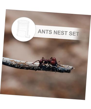 FRCOLOR 2pcs pet Water Feeder dealspet Supplies ant Colony Observation kit formicarium Water Bowl to Feed - Buy Online on SooperMarket.com