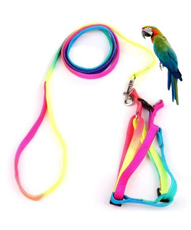 Hypeety Pet Bird Harness and Leash with Buckle Adorable Rainbow Design Safe Parrot Leash Pet Harness Outdoor Adjustable Anti Bite Training Rope for Macaw Large Size Bird (L: 1.5cm 47.24in)