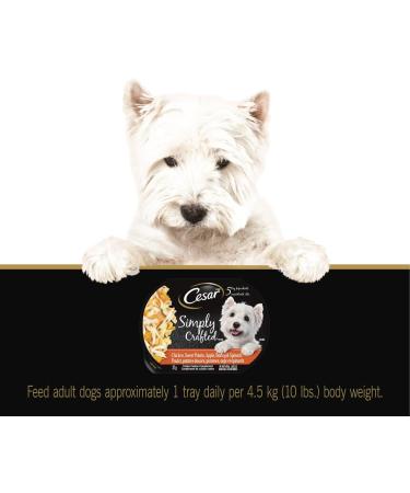 Cesar Simply Crafted Wet Dog Food Chicken Flavour 37g Pack of 10 & Simply Crafted Wet Dog Food Chicken Carrots & Green Beans - Chicken Sweet Potato Apple Barley & Spinach 8x37g Variety Pack - Buy Online on SooperMarket.com