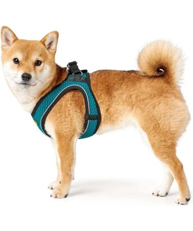 HUNTER HILO COMFORT Harness for Small Dogs - Mesh & Reflective Elements Turquoise ML - International Shipping Available - Buy Online on SooperMarket.com