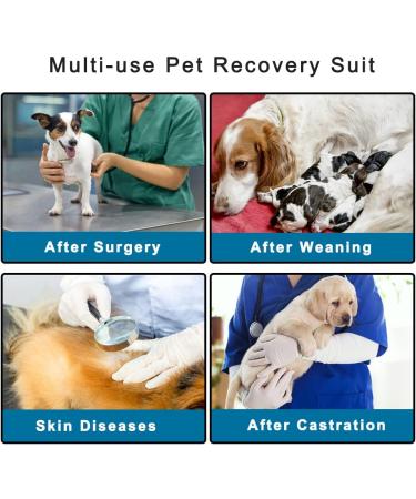 Newsbirds Dog Surgery Recovery Suit for Small Dogs - XL Blue | Post-Op Puppy Wound Protection - Buy Online on SooperMarket.com