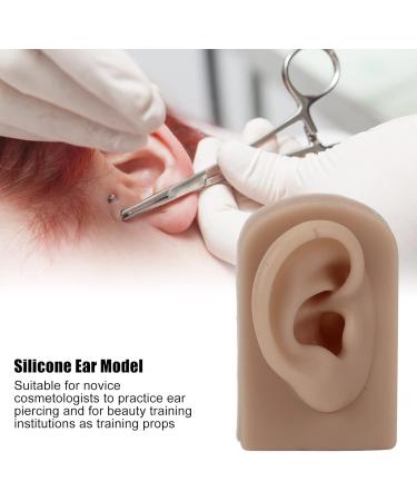 Flexible Brown Right Ear Model for Earrings Display and Acupuncture Training - Buy Online on SooperMarket.com