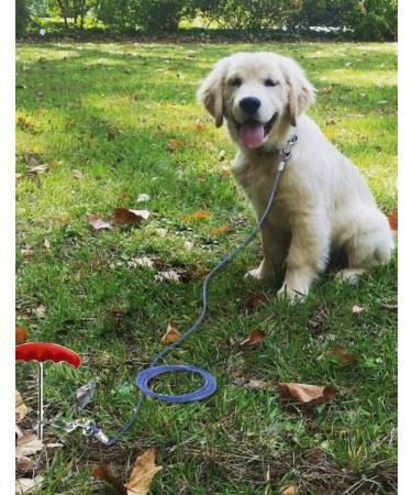 Dog Tie Out Cable and Stake 30ft Outside Dog Leash & Chain for Camping and Yard 16'' Heavy Duty Anti Rust Spiral Stake for Medium-Large Dogs Up to 125 lbs (30FT Blue) - Buy Online on SooperMarket.com