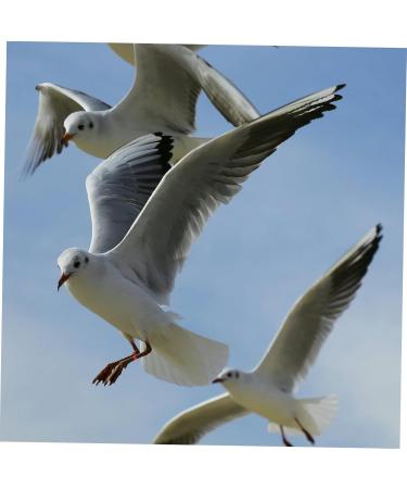 Beavorty 300 Pcs Pigeon Anklet Where Labels Bird Opening Feet Opening Pigeon Ring Plastic Clip Baby Poultry 1.3X1.3CMx3pcs Redx3pcs - Buy Online on SooperMarket.com