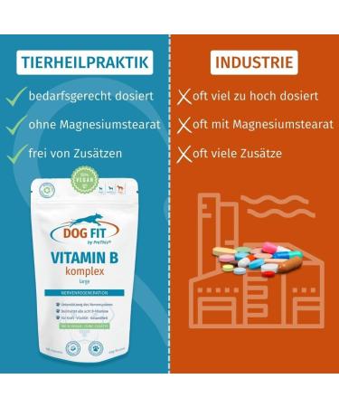Dog Fit by Prethis - Vegan B Vitamin Complex for Dogs | Nerve Strengthening Incontinence & Nervousness Support | Large Animals (25kg+) - Buy Online on SooperMarket.com