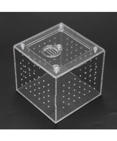 Acrylic Reptile Breeding Box Transparent Live Food Storage Insect Viewing Box for Spider Crickets Snails Hermit Crabs Tarantulas Geckos 3.9x3.9x3.5inch - Buy Online on SooperMarket.com