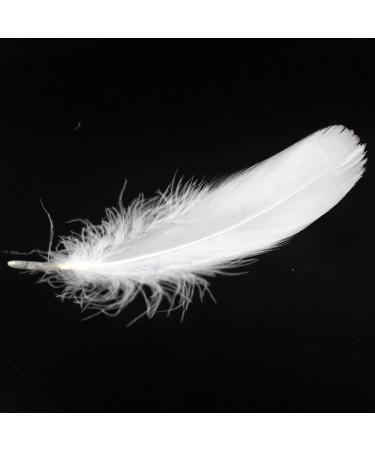 Coceca 500pcs White Feathers - Ideal for DIY Craft, Wedding & Party Decor - Buy Online on SooperMarket.com
