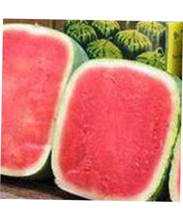 OSALADI Fruit Pumpkin Tools Watermelon Forming Molds Gardening Supplies Vegetable Stereotypes Moss 15x15cm Transparent - Buy Online on SooperMarket.com