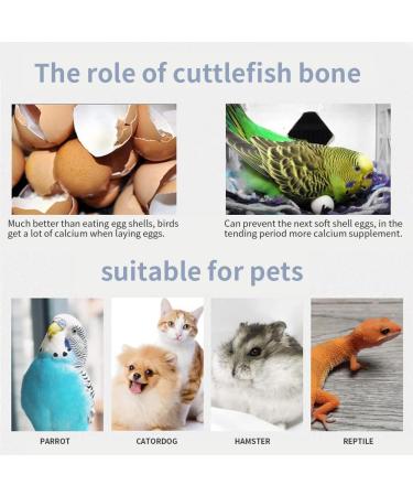 5pcs Small Cuttlefish Bone for Parrots | Natural Calcium Chew Toy for Birds - Buy Online on SooperMarket.com