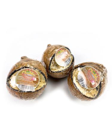 Box of 12 Chubby Wild Bird Food Whole Filled Coconuts