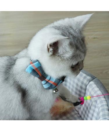 Tagme Cat Collar with Names & Phone Number - Safety Closure & Bell - Haunted Blue - 1 Pack - Buy Online on SooperMarket.com
