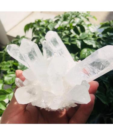 350g-900g Natural Clear Quartz Stone White Crystal Cluster 1pc HOMEZHOU (Color : 1pc 510g-560g) - Buy Online on SooperMarket.com