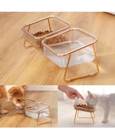 HOHXFYP Elevated Cat Bowls 15 Degree Tilt Stable Raised Cat Food Water Bowl Easily Removable Transparent Cat Bowls with Raised Bowl Bottom for Cats Dogs(S-Gold) Small Gold - Buy Online on SooperMarket.com