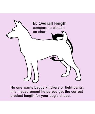Glenndarcy Female Dog Diapers - Waterproof Fabric Small Size (Busy Bee) | Shop Best Pet Solutions Online - Buy Online on SooperMarket.com