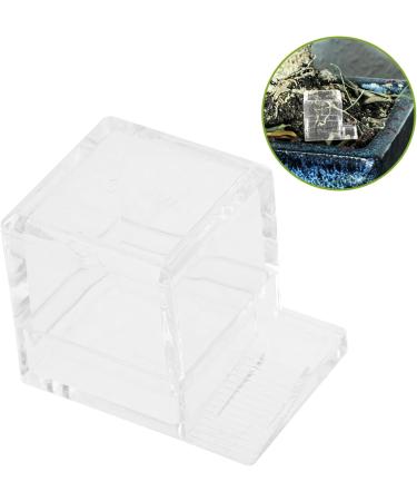 Hohopeti 4pcs Pet Water Feeder Ants Water Bowl Insect Feeder Small Ants Feeder Insect Water Feeder Plastic - Buy Online on SooperMarket.com