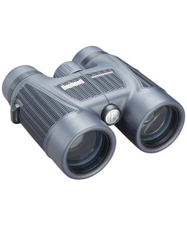 Bushnell H2O Roof Prism Binoculars 10 x 42-mm