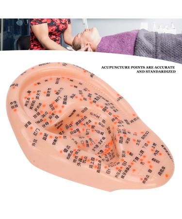 Buy Ear Massage Acupuncture Model | Safe PVC Material for Home Medicine | International Shipping - Buy Online on SooperMarket.com