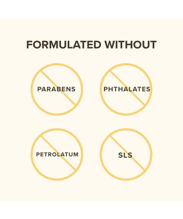 Burt's Bees Daily Gel Cream - Skin Balancing Face Moisturizer | Hydrating Prebiotic Formula for All Skin Types - 1.8 Oz - Buy Online on SooperMarket.com