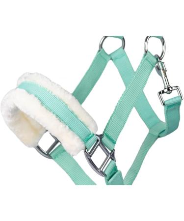 Shop RL24 Halter with Plush Padding - BASICLINE in 6 Colors for Shetland Pony Thoroughbred & Warmblood | Light Green Warmblood Edition - Buy Online on SooperMarket.com