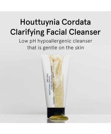 Houttuynia Cordata Clarifying Facial Cleanser 5 fl oz - Korean Skin Care for Acne Prone Oily Skin - Buy Online on SooperMarket.com