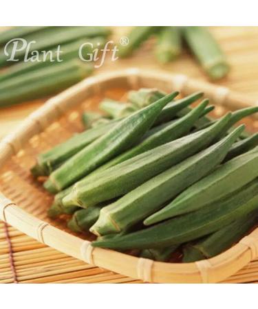 Pure Okra Powder - 100% Natural Okra Meal Flour, Non-GMO, No Fillers or Additives - 100g/3.25oz - Buy Online on SooperMarket.com