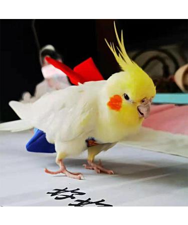 Shenrongtong Parrot Diaper - Protective Bird Harness Flight Suit Waterproof And Leakproof Liner For Parakeet Cockatoos Parrot M - Buy Online on SooperMarket.com