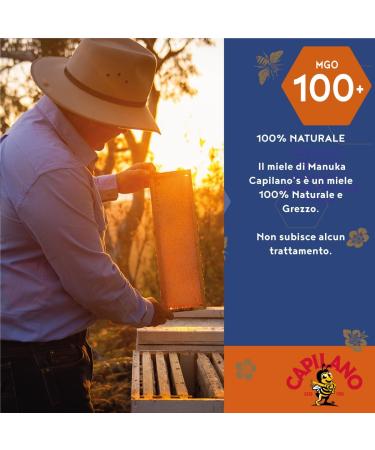 Capilano Manuka Honey MGO100 250g - Dark Amber | Pure Australian Honey - Buy Online on SooperMarket.com