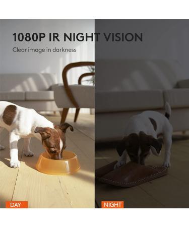GULIGULI Smart Pet Camera: 1080P Full HD WiFi, Night Vision, 2-Way Audio, No Monthly Fee | Dog Treat Camera & Movable Companion Robot for Pets | Phone App Controlled (2.4G WiFi ONLY) - Buy Online on SooperMarket.com