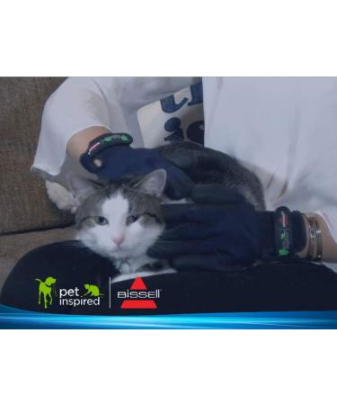 BISSELL De-Shedding Grooming Gloves for Pets - 1 Pair, Medium Size - Ideal for Dogs, Cats, Long and Short Hair - Effective Pet Hair Removal - Buy Online on SooperMarket.com